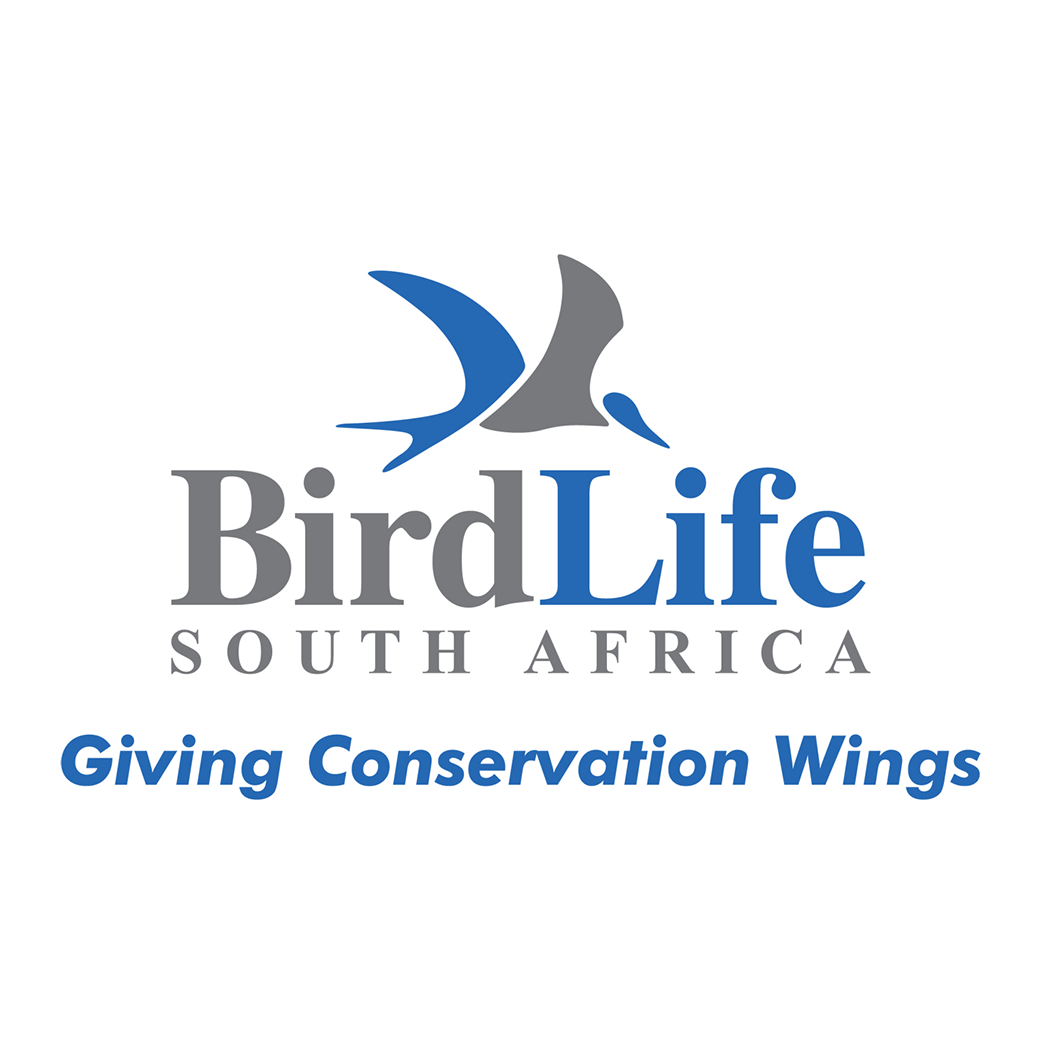 Bird Life