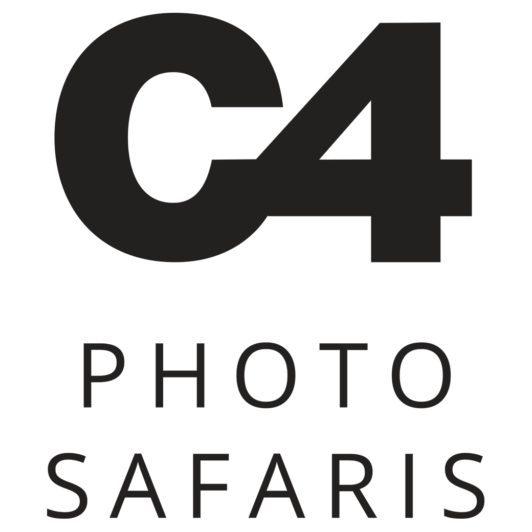 C4 Photo Safaris