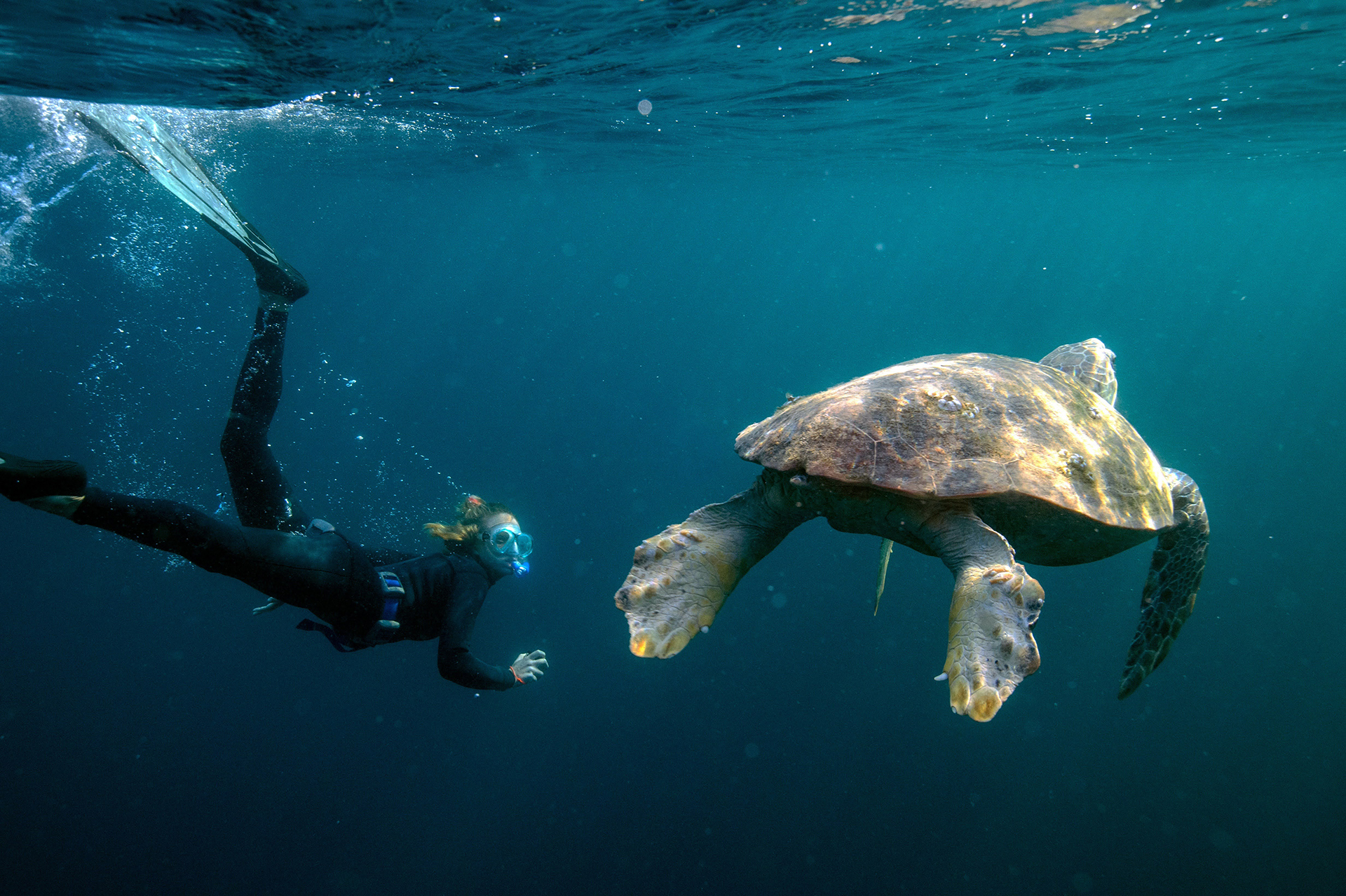 How to beat eco-paralysis: Lessons from young leaders