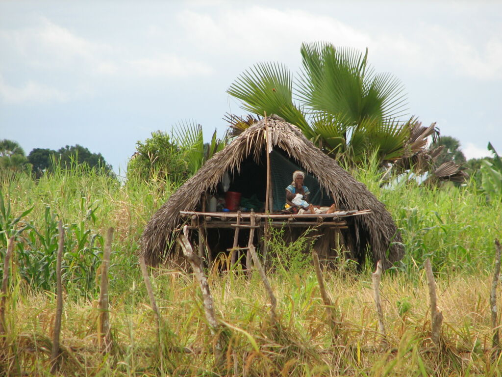 Makeshift shelter