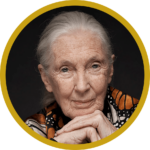 Jane Goodall, DBE