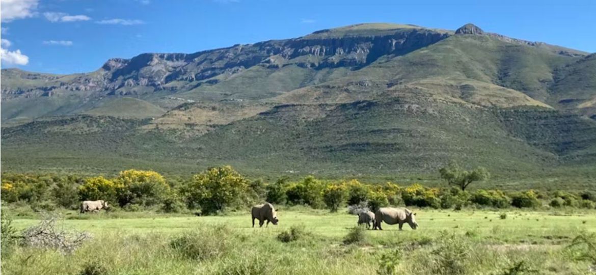 South Africa’s new biodiversity economy strategy aims to make the benefits from biodiversity available to more people. Hayley Clements