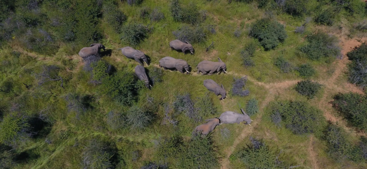 Conservation-bootcamp