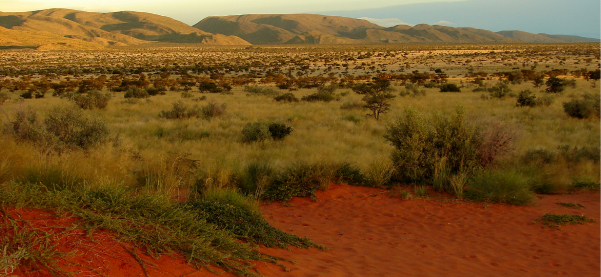 The-Long-Run-AGM-at-Tswalu