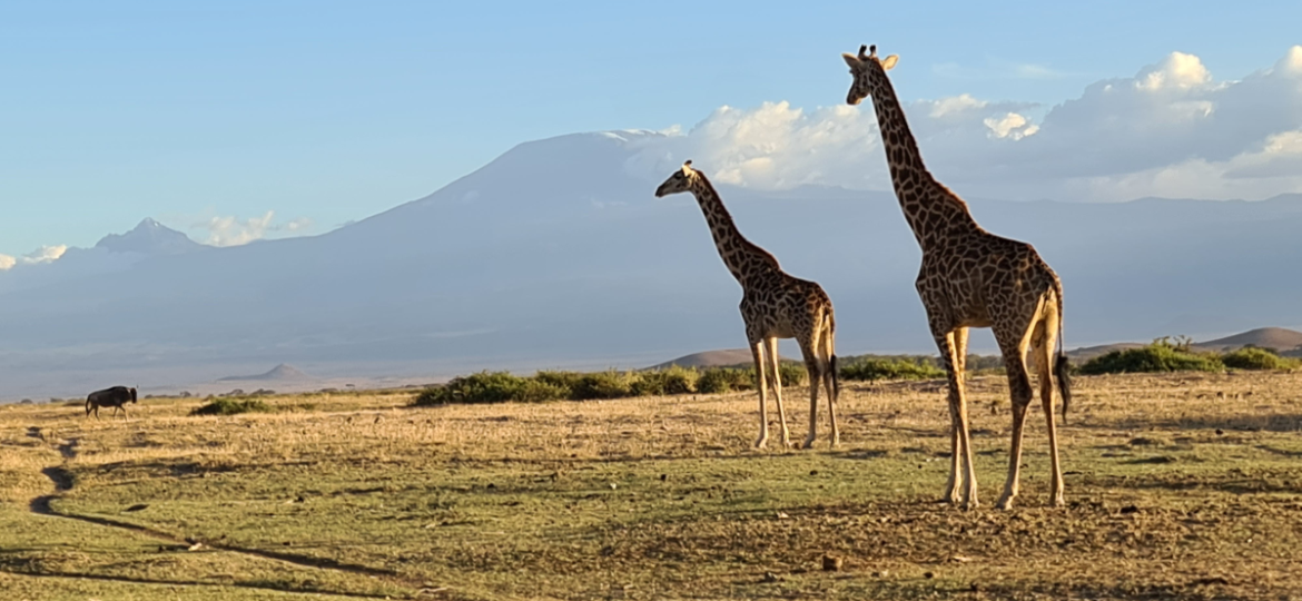 Mount-Kilimanjaro-as-seen-deom-Amboseli-National-park
