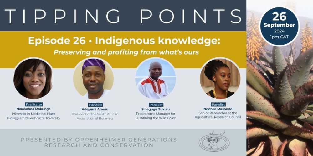 Tipping-Points-Ep-24-newsletter-scaled-e1728284068466