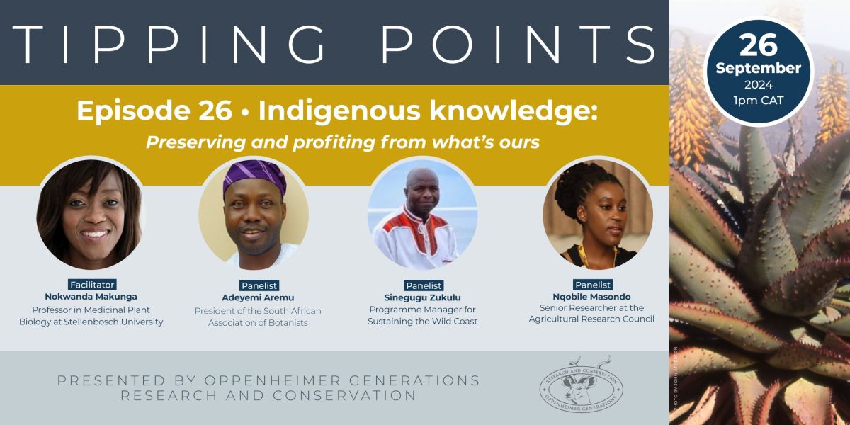 Tipping-Points-Ep-24-newsletter-scaled-e1728284068466